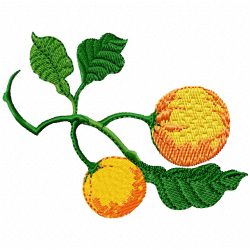 Orange Embroidery Design 12 Orange Embroidery Design 12